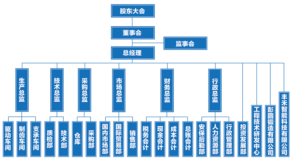 丰禾回转支承-组织机构